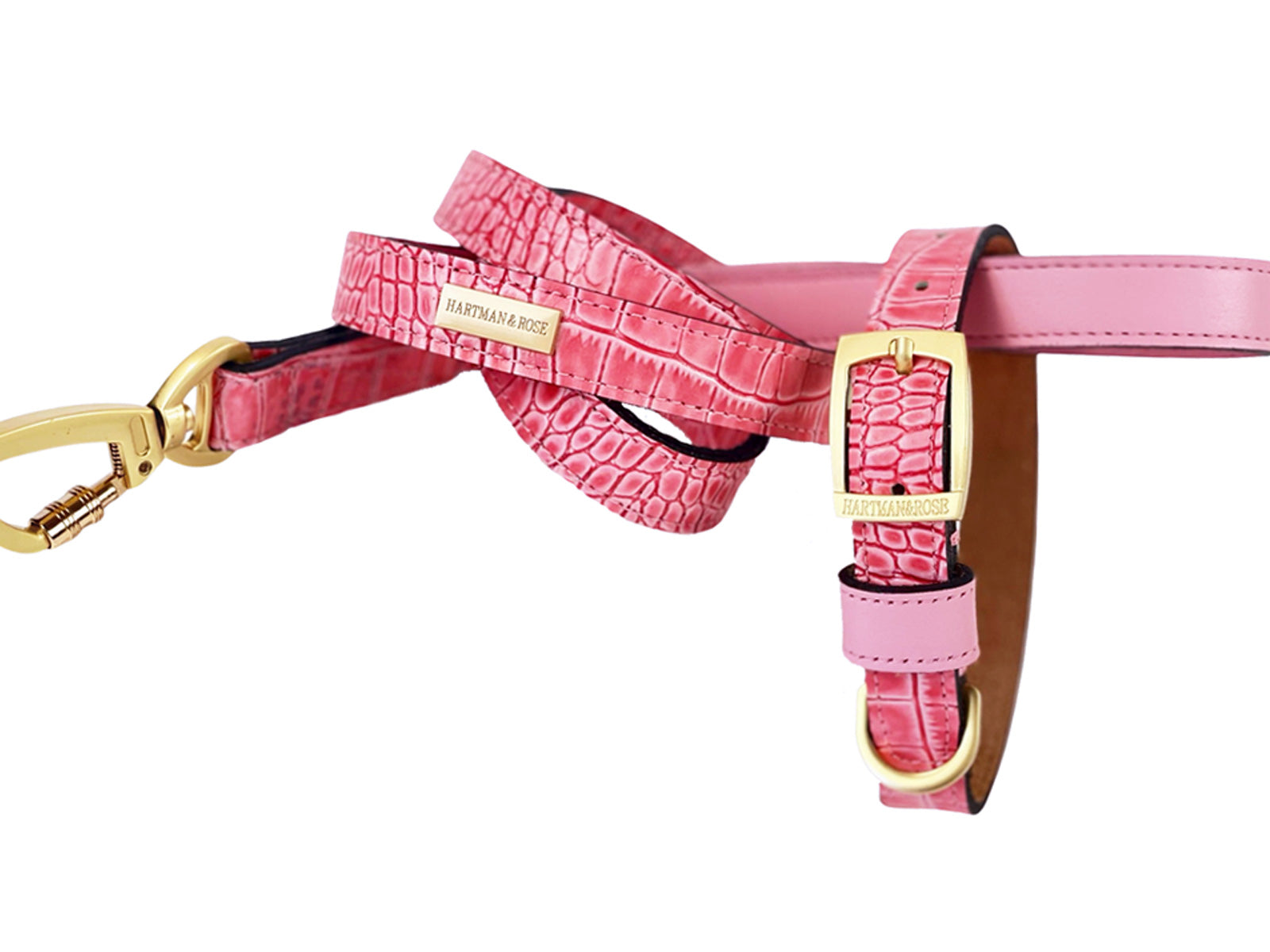 Cayman Luxury Dog Collar and Leash Collection
