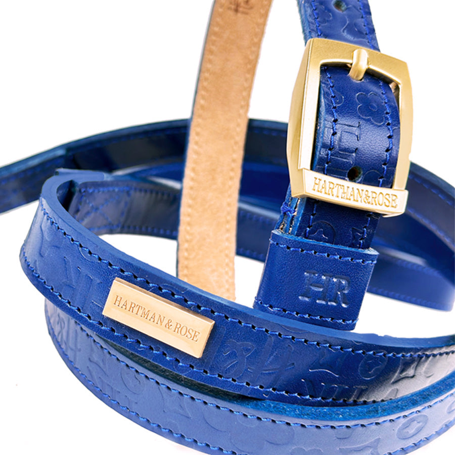 H&R Embossed Luxury Dog Collar and Leash Collection