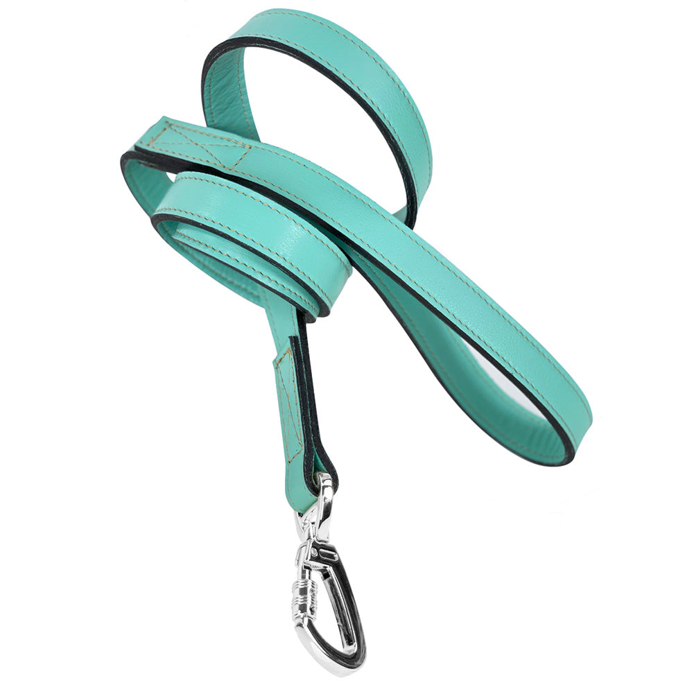 Estate Dog Leash in Turquoise