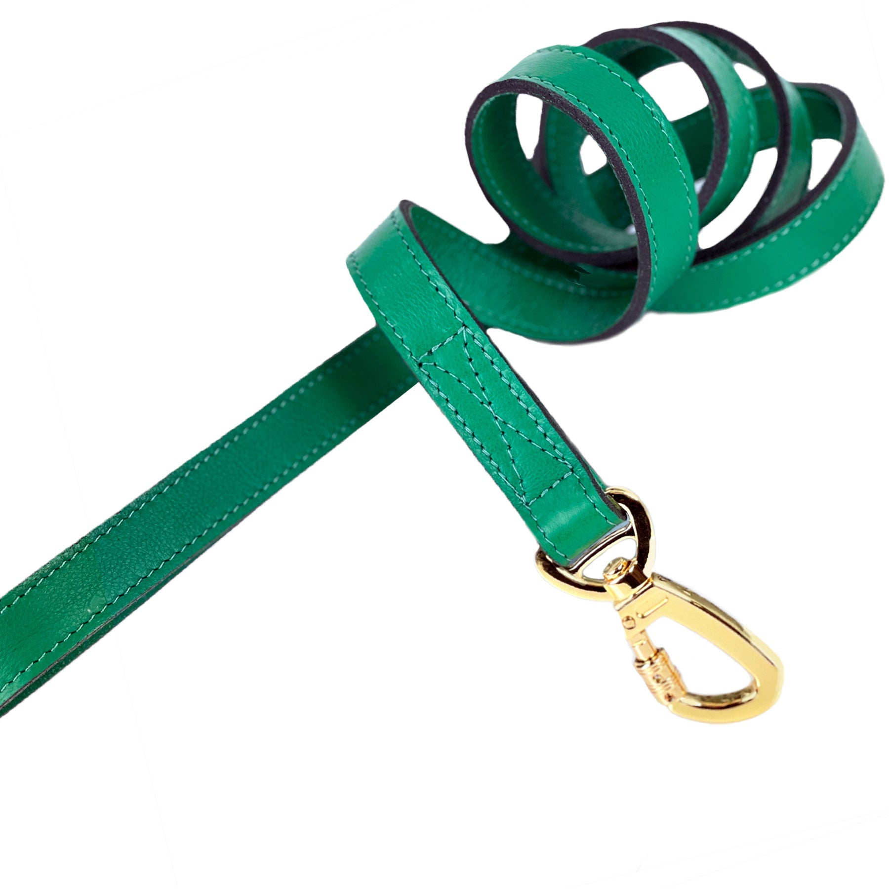 Georgia Rose Dog Leash in Emerald Green & Gold