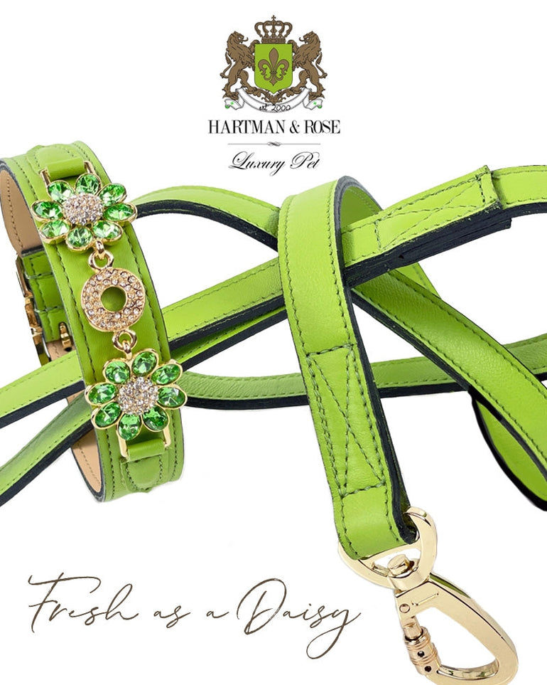 Daisy Lead in Lime Green