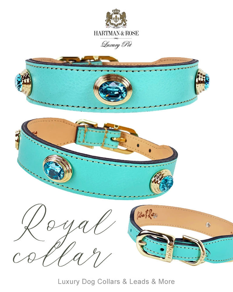 The Royal in Turquoise