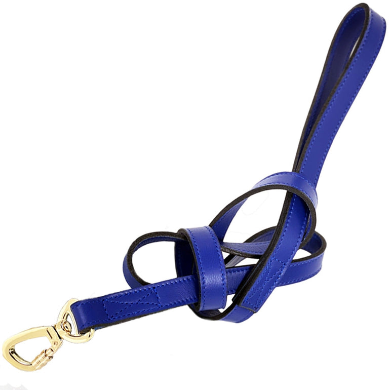 Holiday Lead in Cobalt Blue & Gold