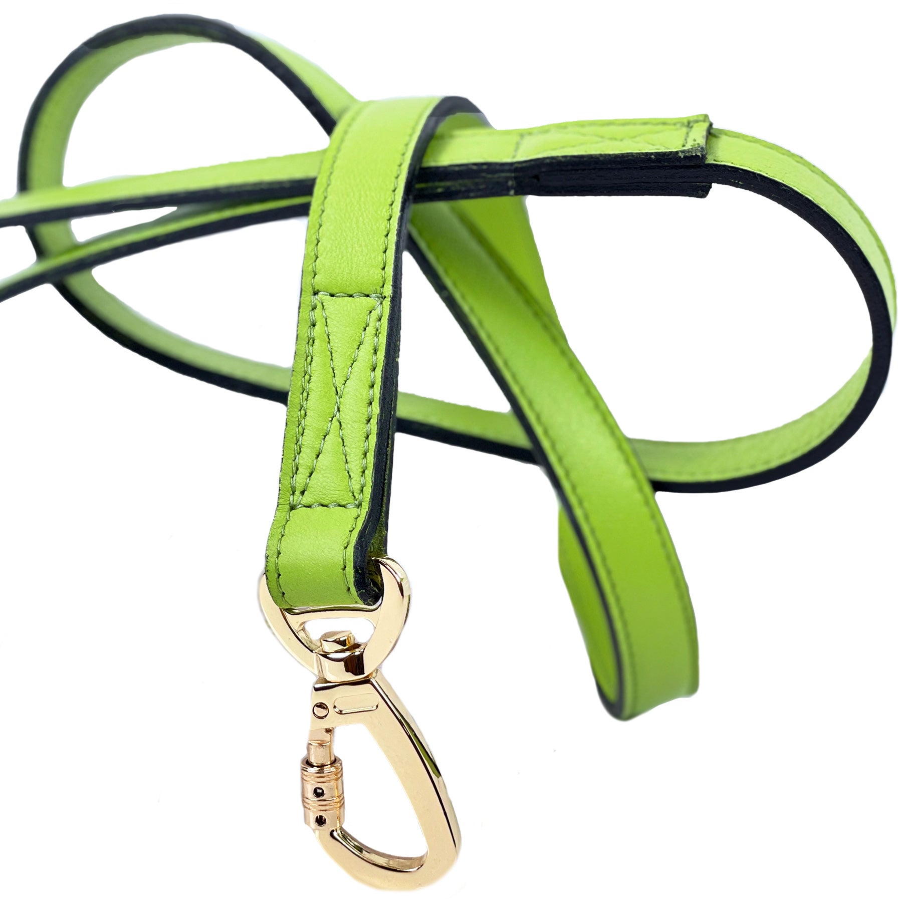 Leap Frog Dog Leash in Lime Green
