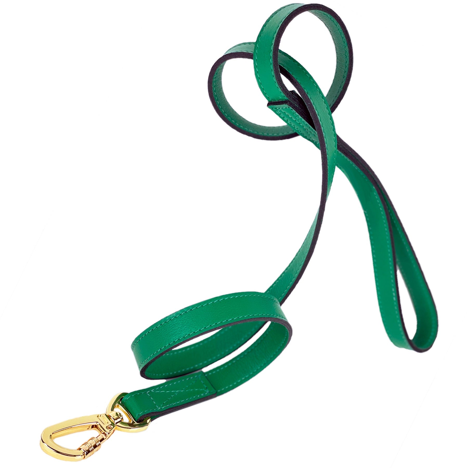 Royal Dog Leash in Emerald & Gold