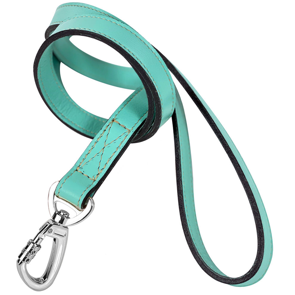 Athena Dog Leash in Turquoise & Nickel
