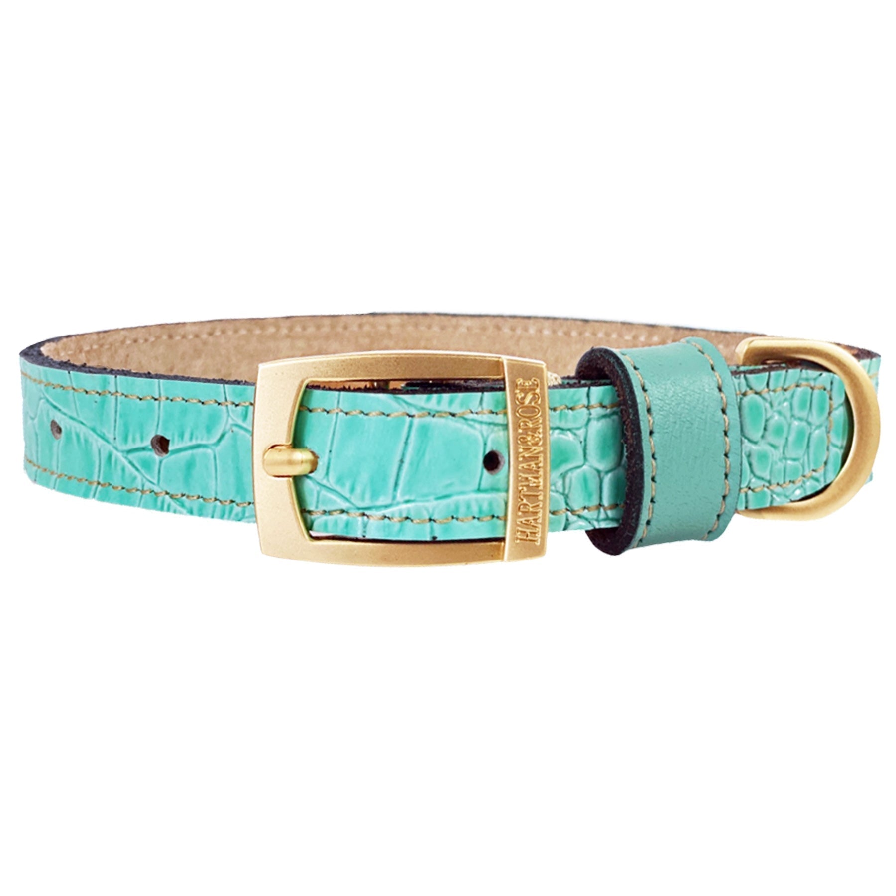 Cayman Collar in Turquoise