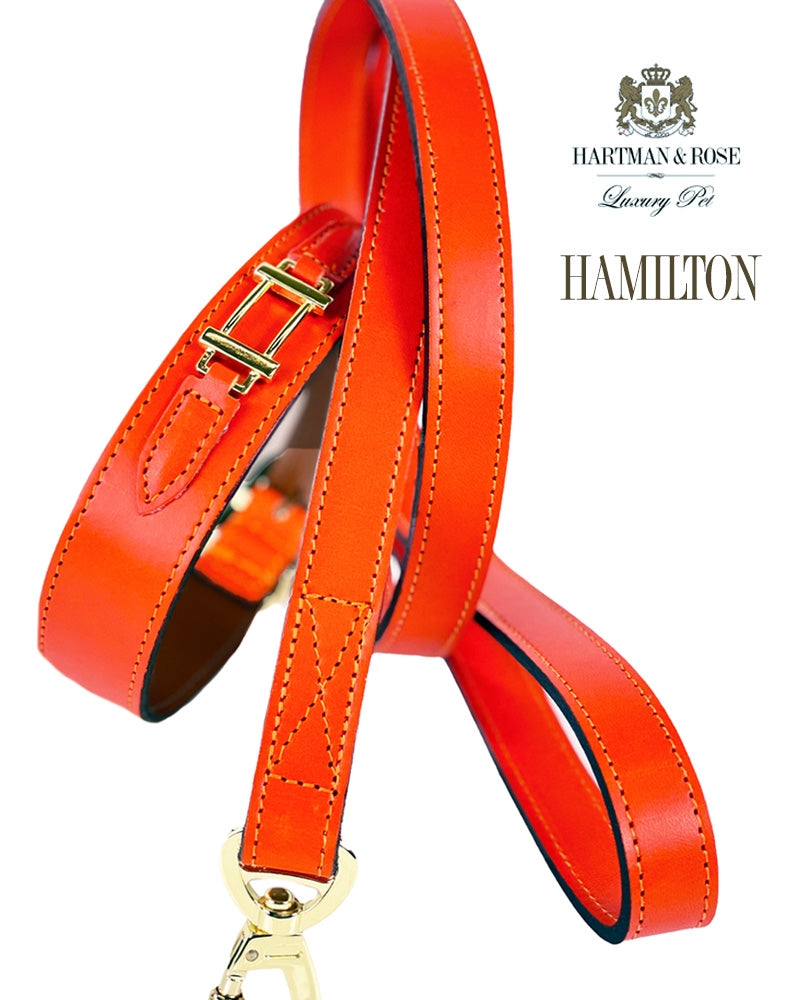 Hamilton Lead in Tangerine