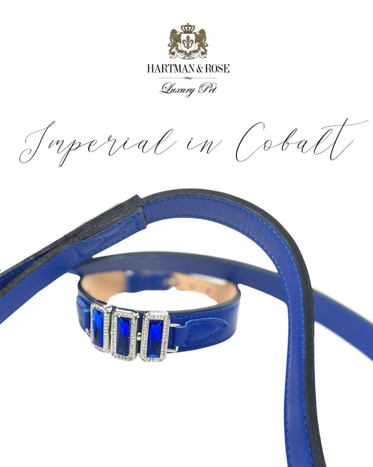 Imperial Collection in Cobalt Blue & Nickel