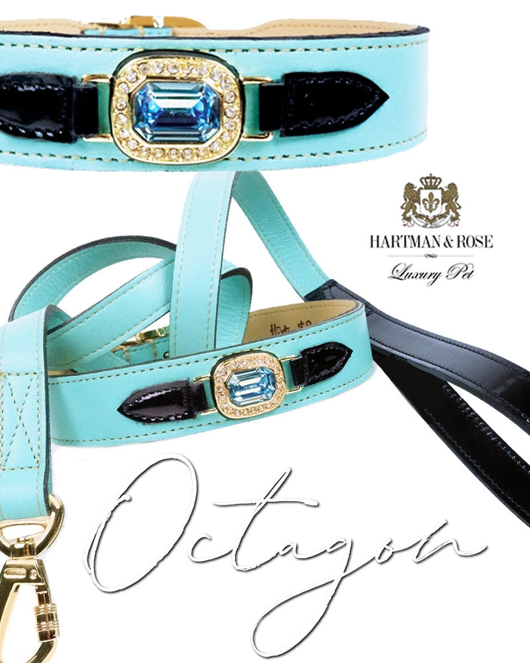 Haute Couture Octagon in Turquoise & Black Patent Set