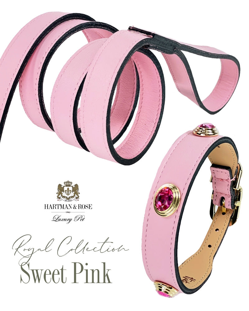 Royal Lead in Sweet Pink & Gold