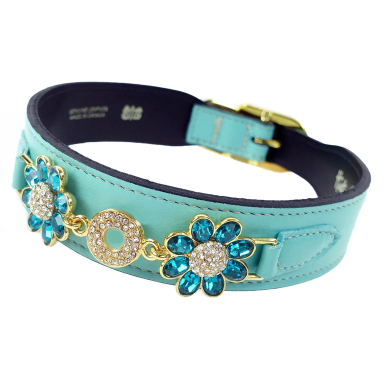 Daisy in Turquoise & Gold