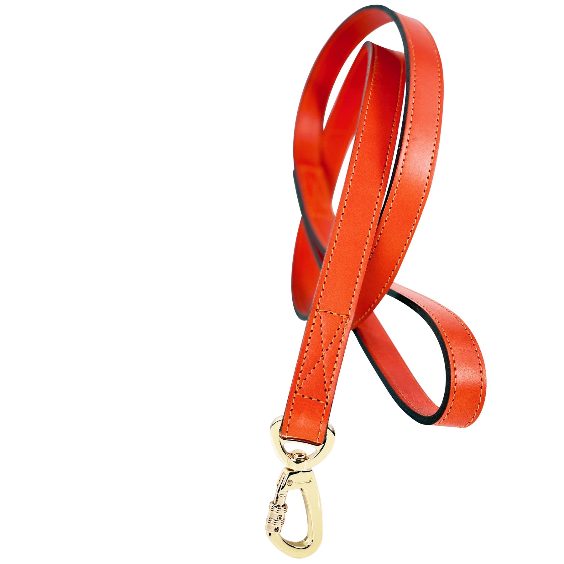 Holiday Dog Leash in Tangerine & Gold