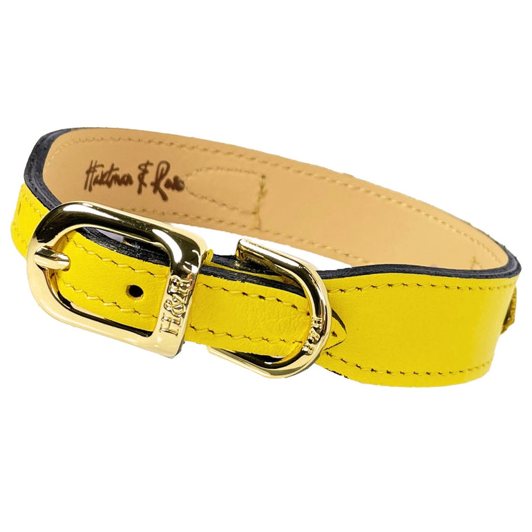 Italian Canary Yellow Leather in Gold