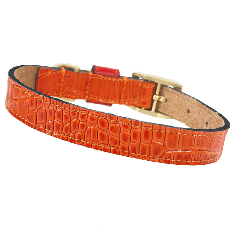 Cayman Collar in Tangerine