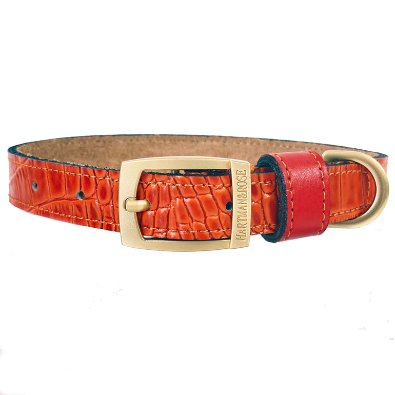 Cayman Collar in Tangerine