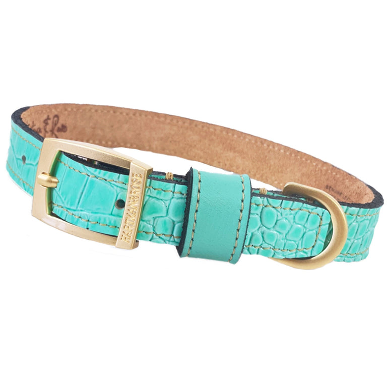 Cayman Collar in Turquoise