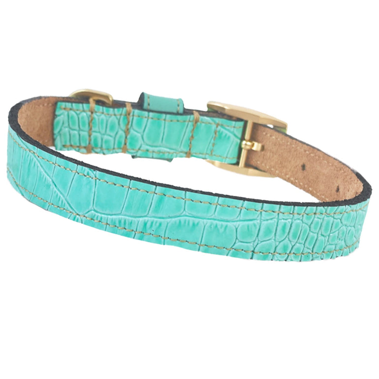 Cayman Collar in Turquoise