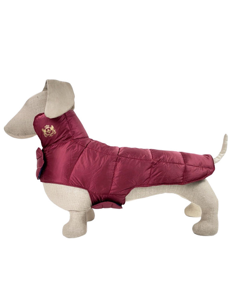 Ultralite Reversible Down Dog Coat in Navy Blue & Merlot