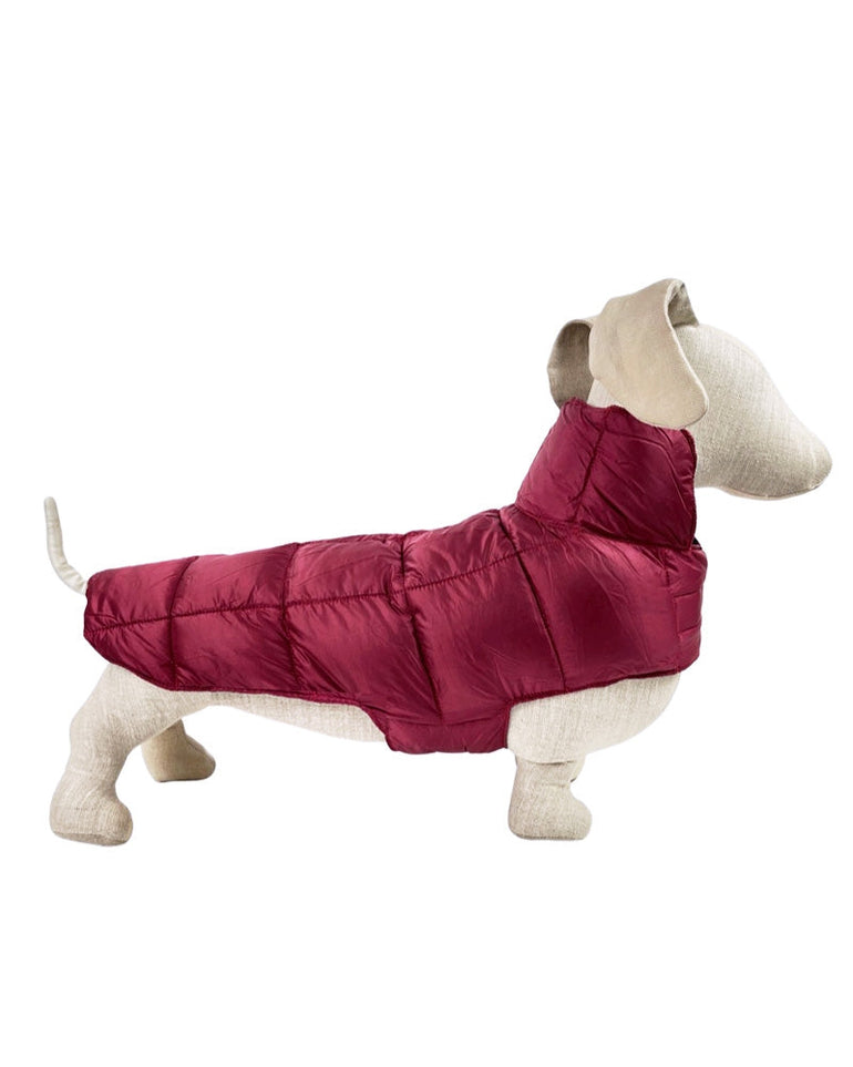 Ultralite Reversible Down Dog Coat in Navy Blue & Merlot