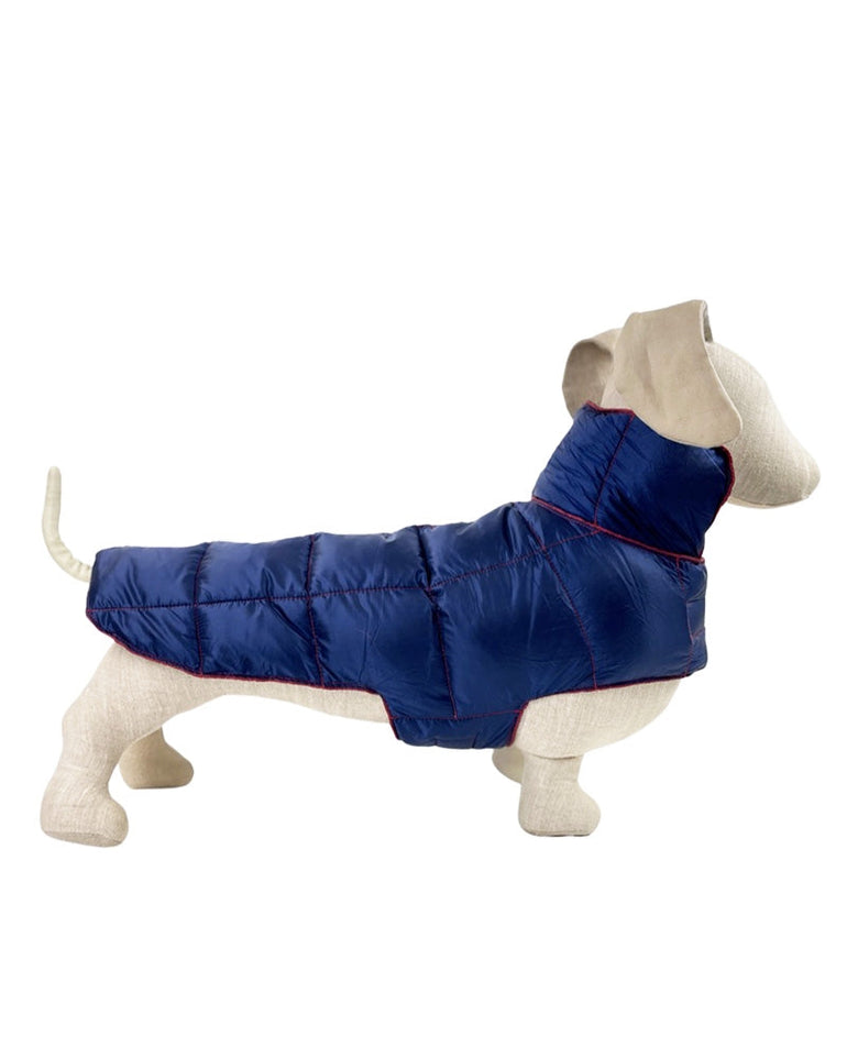 Ultralite Reversible Down Dog Coat in Navy Blue & Merlot