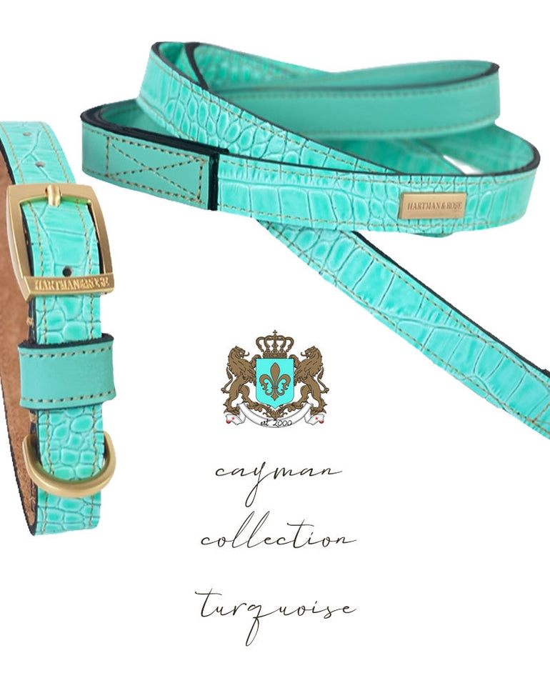 Cayman Collar in Turquoise